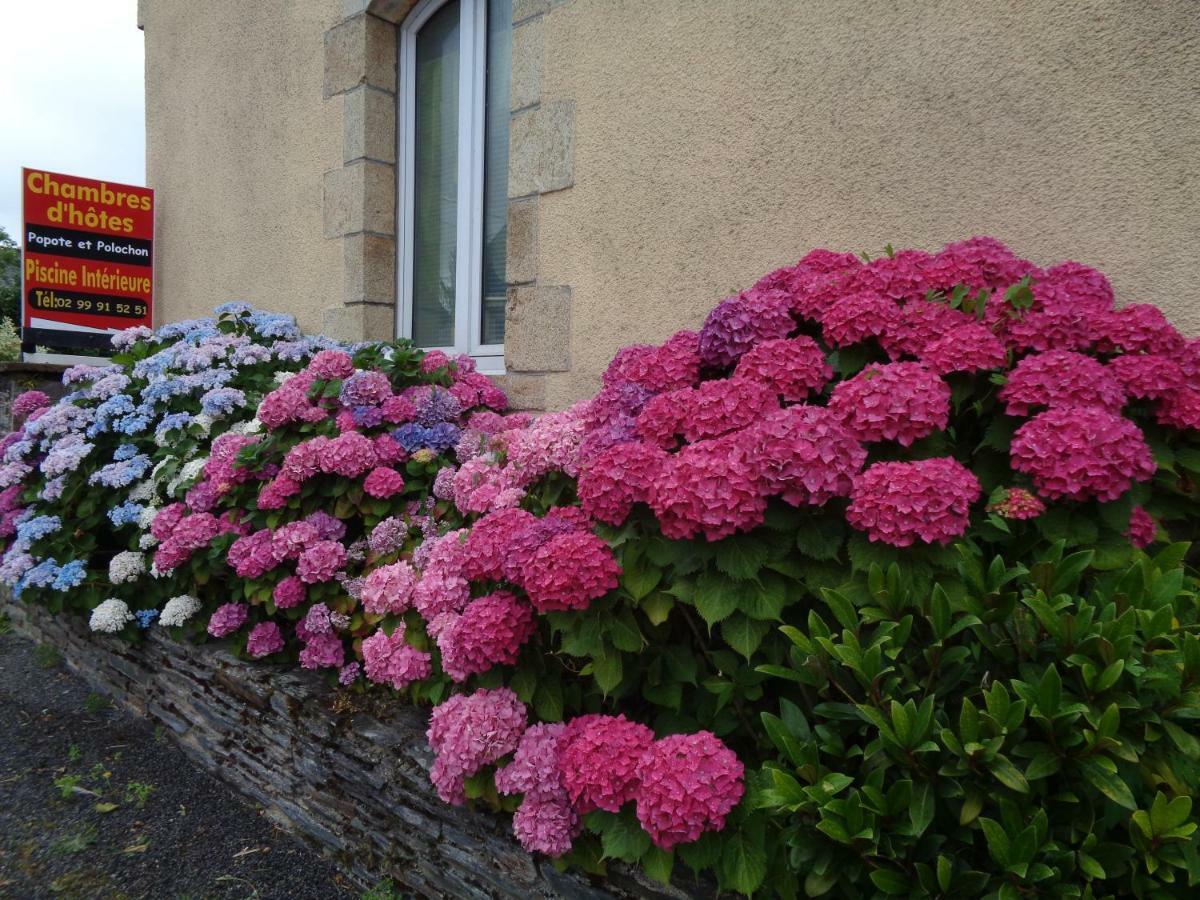 Popote Et Polochon Bed and Breakfast Saint-Martin-sur-Oust Exteriör bild